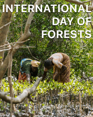 Trees DressBsBUtrano