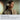 V7HE31290A0E7FD5CD8E4E281EAD3A8C8F8R7328741P6