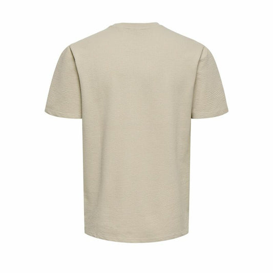 V5H8099A8D1EE01932CED544EBAC1563043R6086046P2