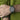 V6H780DD45BF4B558DD66AA04489F6B2C0DR4568641P3