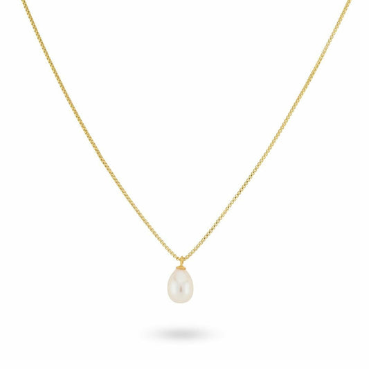 V5HAE802BD553567386A57E416B9388D94BR6186017P1