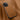 HUIYI Leather Magnetic Phone Case, For iPhone 16, For iPhone 15 Pro Max, For iPhone 15 Pro, For iPhone 15 Plus For iPhone 16 Pro / Brown