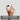 Candy Magsafe PC Hybrid TPU Phone Case, For Google Pixel 9, For Google Pixel 8a, For Google Pixel 8 Pro