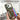 Litchi Texture Card Bag Ring Holder Vegan Leather + PC Phone Case with Shoulder Strap, For iPhone 13 Pro Max, For iPhone 13 Pro, For iPhone 13