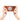 Denior Peony Series Electroplated Magnetic Phone Case, For iPhone 17 Pro Max, For iPhone 17 Pro, For iPhone 17, For iPhone Air, For iPhone 16 Pro Max, For iPhone 16 Pro