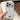 Starry Sequin Diamond PC Phone Case, For iPhone 17 Pro Max, For iPhone 17 Pro, For iPhone 17, For iPhone 16 Pro Max