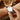 Women's Sports Business Quartz Watch Utrano