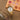V9HA721BB130CFA3B8DD3870AD872ED1CAAR3645189P5