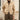 Vintage Men's Cropped Lapel Jacket
