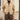 Vintage Men's Cropped Lapel Jacket