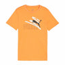 V6HE86035637BC9223294A7763C841B2887R4660903P1