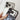 Butterfly Pattern Electroplated PC + Glass Phone Case, For iPhone 17 Pro Max, For iPhone 17 Pro, For iPhone 17, For iPhone 16 Pro Max  