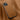 HUIYI Leather Magnetic Phone Case, For iPhone 15, For iPhone 14 Plus, For iPhone 14, For iPhone 14 Pro  For iPhone 15 Plus / Brown
