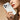 Electroplated Magnetic PC Hybrid PU Phone Case, For iPhone 15, For iPhone 14, For iPhone 14 Pro, For iPhone 14 Pro Max, For iPhone 13  