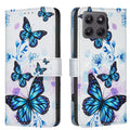  Blue Butterfly
