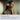 V7HE31290A0E7FD5CD8E4E281EAD3A8C8F8R7328741P6