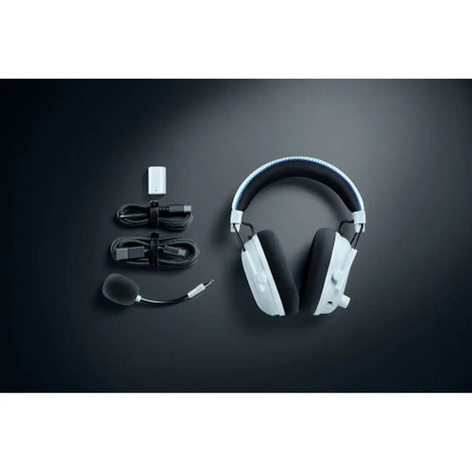 V4H0B6C7C3D909E44A0CCCA908A3ADD4A86R7289701P1