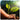 Planting trees-Plant 5 Trees with Utrano to Help People in More Than One Country Utrano