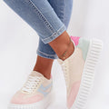  multicolor