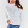  Turtleneck model 173931 awama 